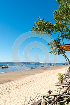 Arcachon Bay, France, view over the dune of Pyla