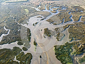 Arcachon bay shore in Gujan-Mestras