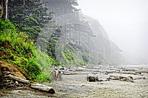 Arcadia Beach in Morning Fog