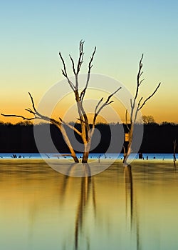 Arcadia Lake at Sunrise photo