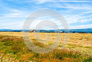 Arcata Bottom Hay Field