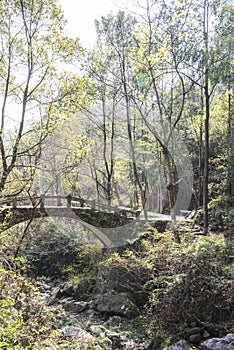 Arch bridge