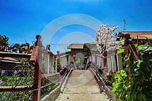 arch bridge in a japanese style garden during the day