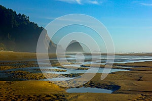 Arch Cape Beach Tide Pools