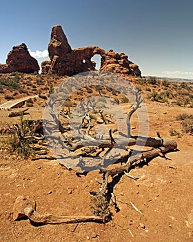 Arch and desert scene in Arches National Park