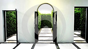 Arch Door, Arch Door Frame With Sunlight, Window Frame