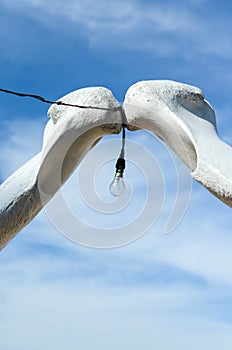 Arch of fish rib bones with lamp