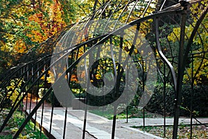 Arch in a garden, tunnel, path, walkway in a park. Green and yellow fall trees.