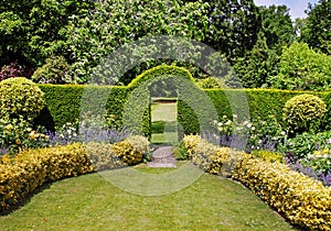 Arch through a hedgerow in an English Garden