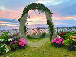 An arch of matrimony photo