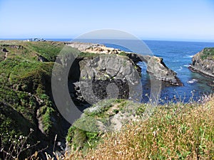 The arch at Mendocino