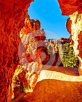 Arch opening in the Vermilion Colored Hoodoos on the Navajo Trail in Bryce Canyon