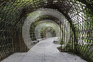 The arch and the path in the park