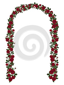Arch of red climbing roses photo