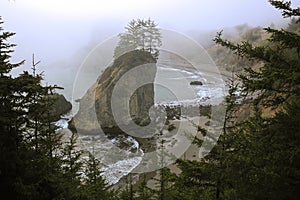 Arch rock in the fog on the southern Oregon coast.