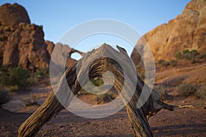 Arch Rock Formation Arches National Park