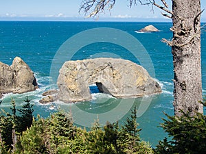 Arch Rock, Samuel Boardman State Park, Oregon