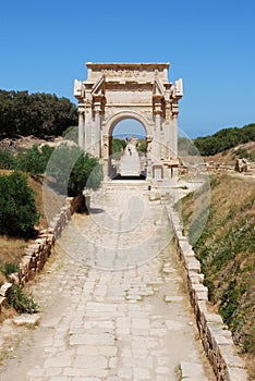 Arch of Septimius Severus photo