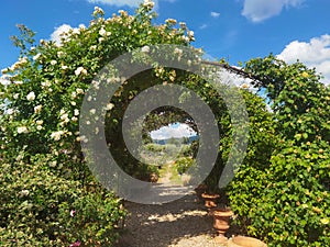 Arch to the paradise against the blue sky