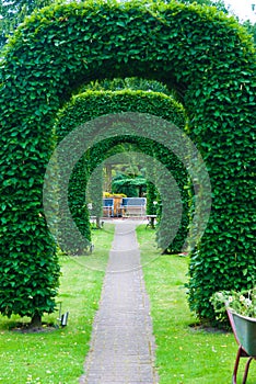 Arch of topiary photo