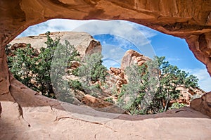 Arch View