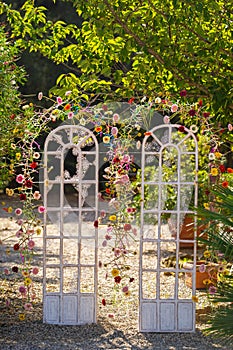 Arch for a wedding ceremony on the street .The decor is decorated with arches in the form of doors with fresh flowers