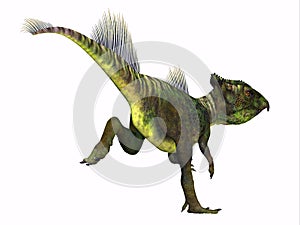 Archaeoceratops Dinosaur Tail