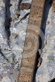 Core filled with Peat