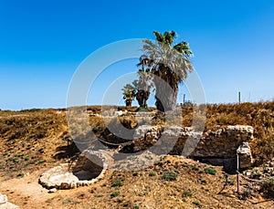 Archaeological excavation in Apollonia National Park, Israel