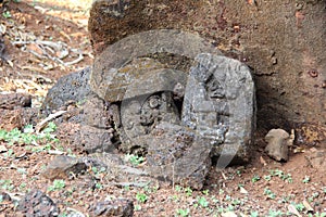 Archaeological Excavation in India and finds