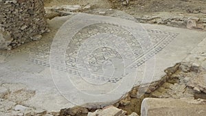 Archaeological excavation mosaics of a Roman house, Domus del Chirurgo. Rimini, Italy