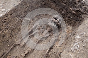 Archaeological excavation with skeletons