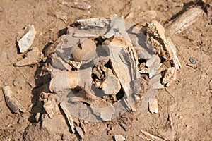 Archaeological excavations.