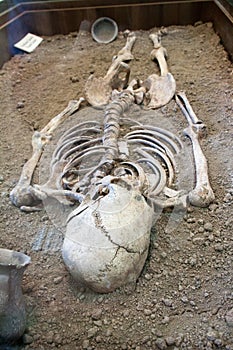 Archaeological excavations of an ancient human skeleton and human skull