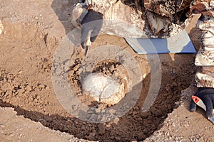 Archaeological excavations. The archaeologist in a digger process. Close up hands with knife and brush conducting research on huma