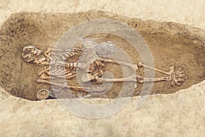 Archaeological excavations man and finds bones of a skeleton in a human burial, a detail of ancient research, prehistory