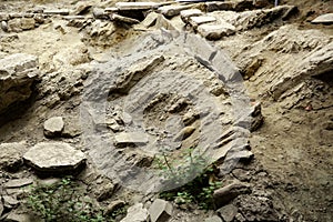 Archaeological excavations photo