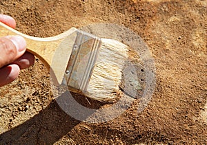 The archaeological find