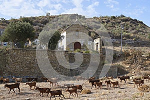 Archaeological and monumental complex of San Pitar, Valle Niza. Malaga, Spain photo