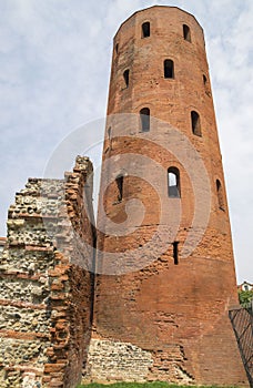 Archaeological Park with Palatine towers,Turin