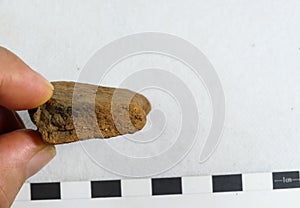 Archaeological pottery sherd.