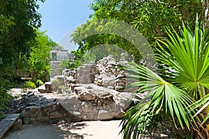 Archaeological ruins in the jungle