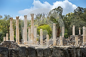 Archaeological site, Beit Shean, Israel