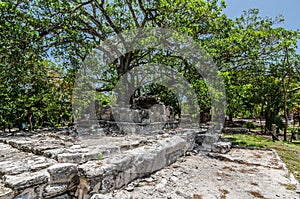 Archaeological Site of El Meco, CancÃÂºn, MÃÂ©xico photo