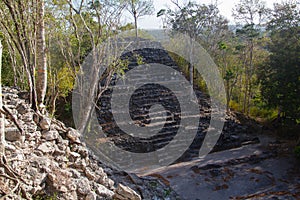 Archaeological Site: El Mirador, the cradle of Mayan civilization and the oldest mayan city in history