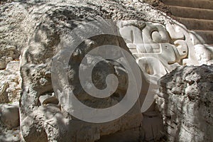 Archaeological Site: El Mirador, the cradle of Mayan civilization and the oldest mayan city in history