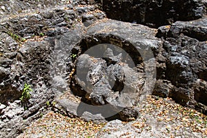 Archaeological Site: El Mirador, the cradle of Mayan civilization and the oldest mayan city in history