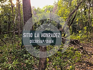 Archaeological Site: La Honradez, the jewel of the Mayan Past hidden deep in the jungle