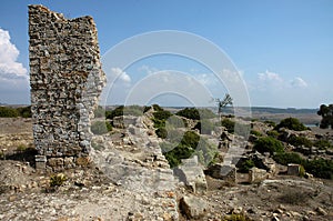 The archaeological site of Lixus