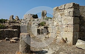 The archaeological site of Lixus